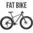 Fat bike