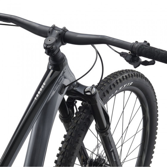  Horské Trail / All-Mountain MTB kolo - GIANT Trance 29" 3. 2021 - Black Ti/Black/Chrome