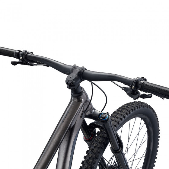 Horské Enduro kolo - GIANT Reign 29" 2022 - Metal