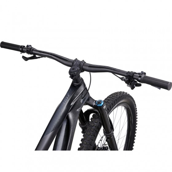 Horské Enduro kolo - GIANT Reign Advance PRO 1 29" 2024 - Black Diamond / Carbon