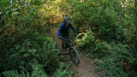 DĚTSKÉ Trail MTB kolo - NORCO Fluid FS 1 24" - Blue / Chrome