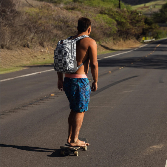 Batoh - DAKINE Campus M 25L Hawaii 2025 - Asphalt Checker