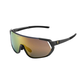 Brýle - GIANT Agos - Gray Frame Gold Lens
